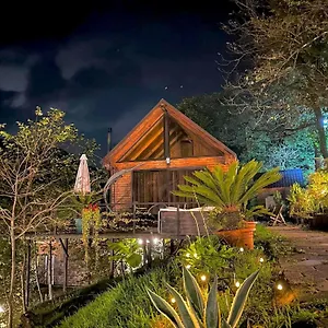 Woodpecker Georgia 5* باتومي